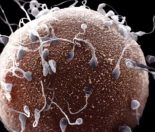 Natural family planning - 3 key methods to predict ovulation