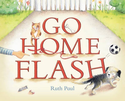 Go home flash review