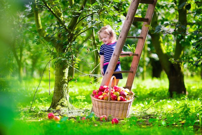 Reducing the nasties in your diet
