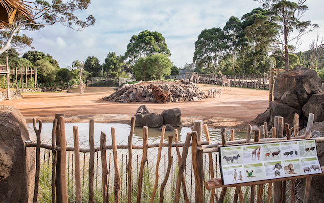 Auckland Zoo