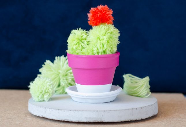 pompom_cuctus_diy