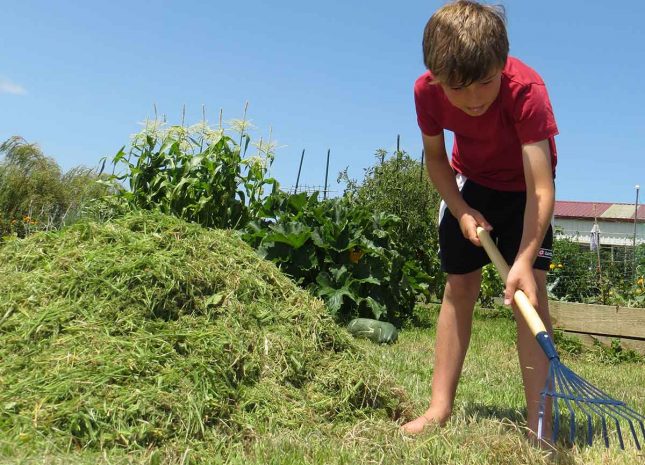 how-to-make-a-compost-oven