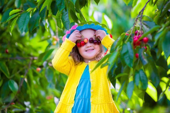 Developing good food habits in kids