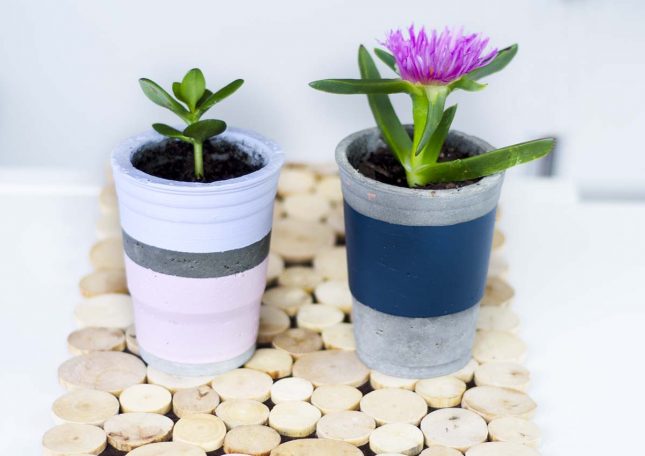 how to make a DIY concrete planter