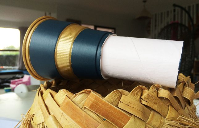 toilet roll telescope