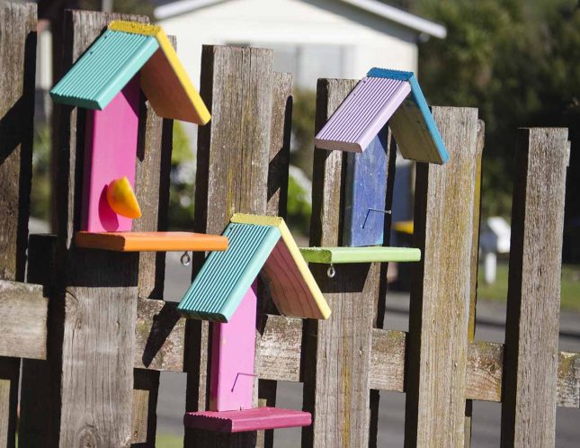 Bright and colourful bird feeders project