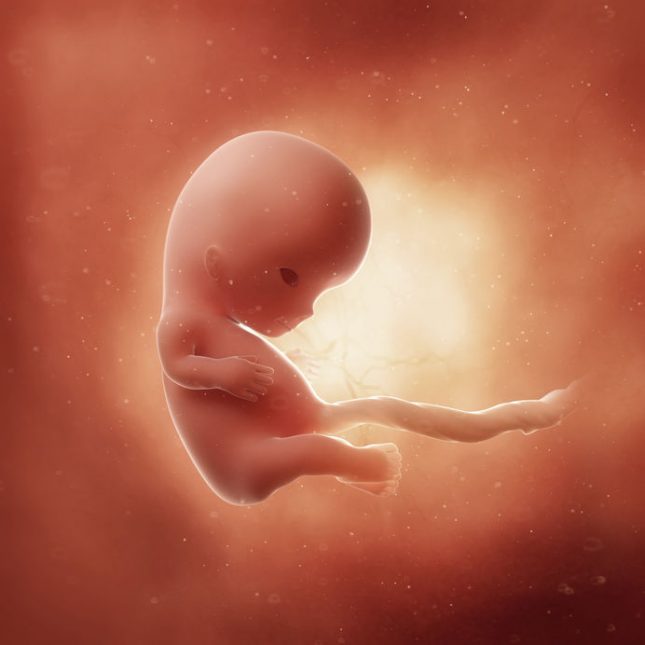 10 weeks pregnant
