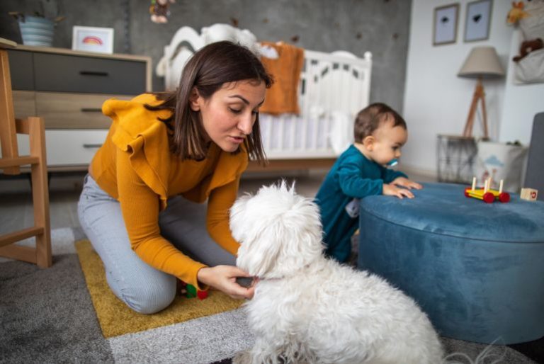 Happy New Zealand Pet Owners